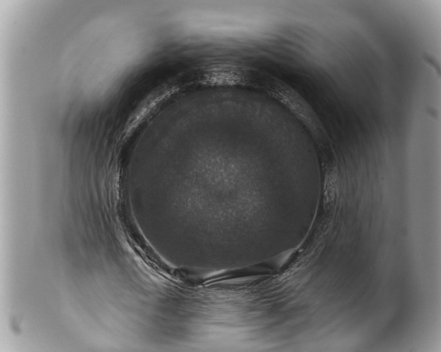 X0000102040722200807251413