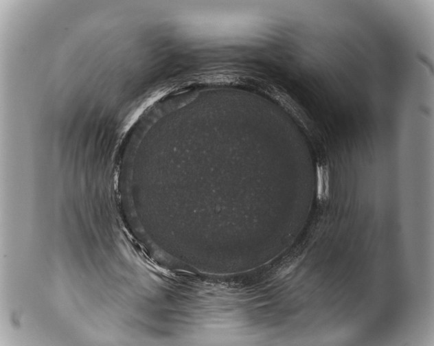 X0000102040723200807251413