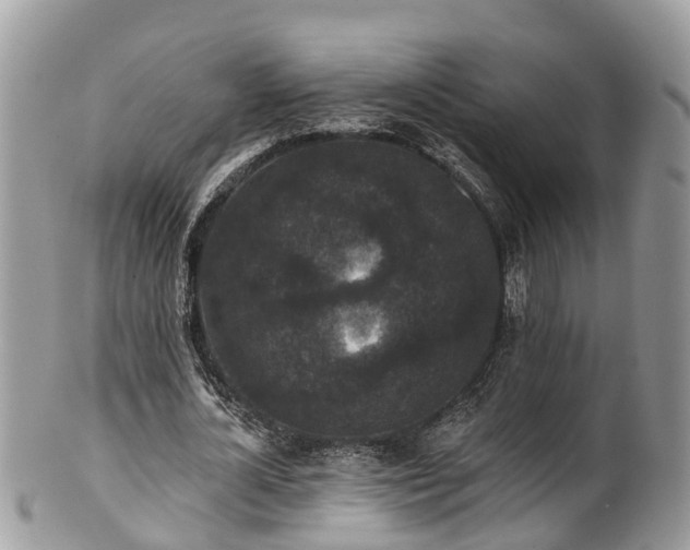 X0000102040724200807251413