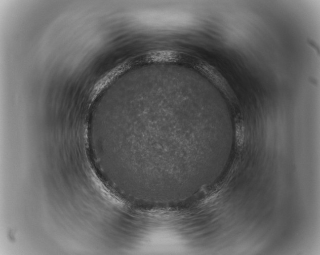 X0000102040725200807251414