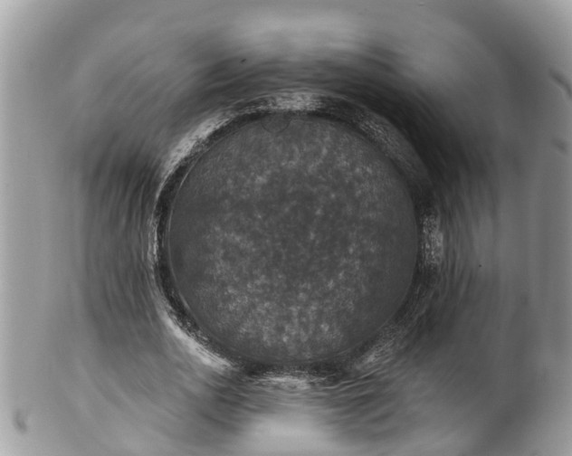 X0000102040726200807251414