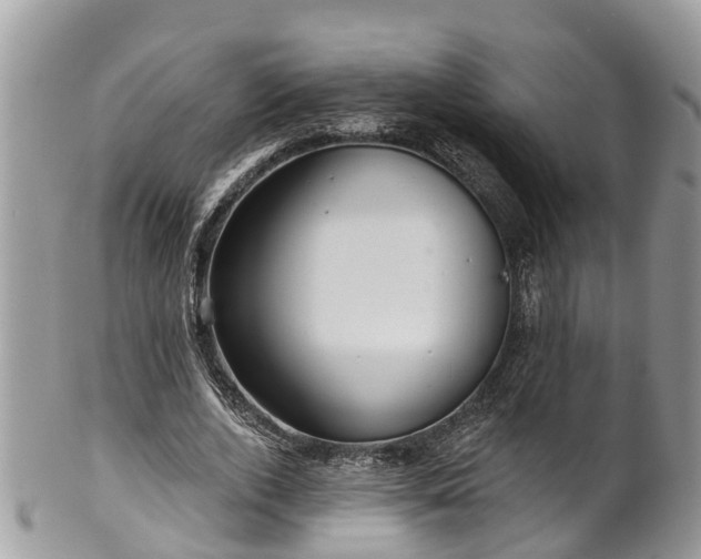 X0000102040728200807251414