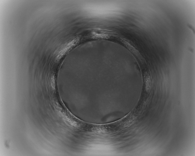 X0000102040729200807251414