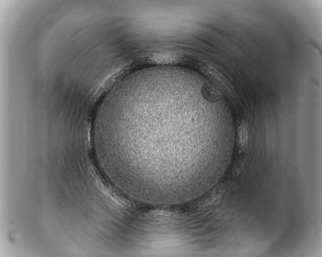 X0000102040733200807251414