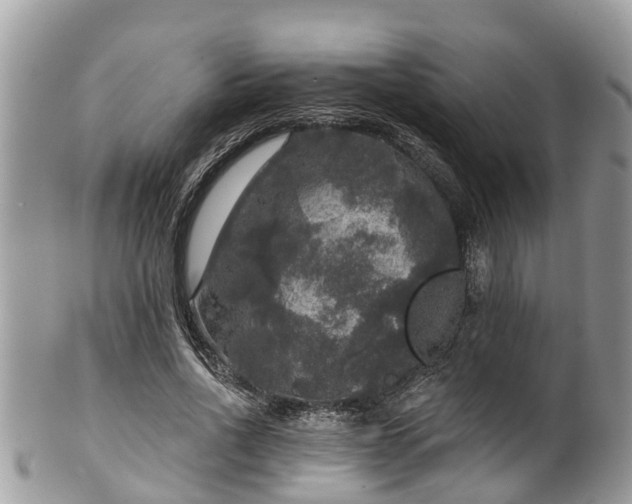 X0000102040734200807251414