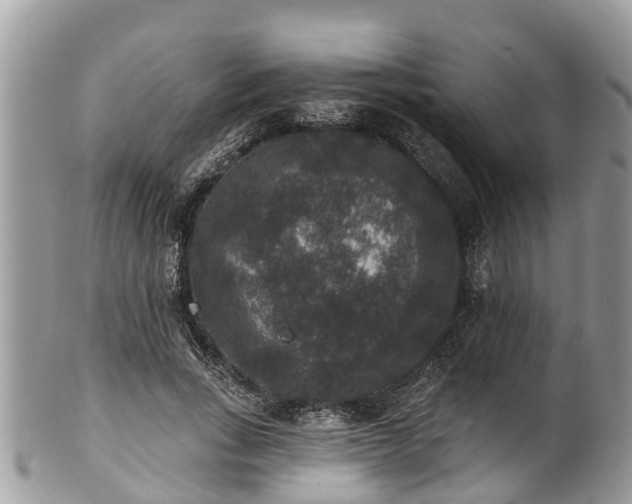 X0000102040735200807251414