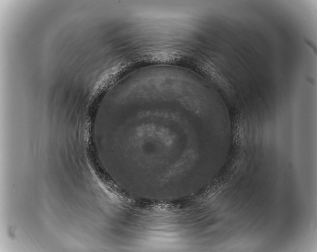 X0000102040736200807251414