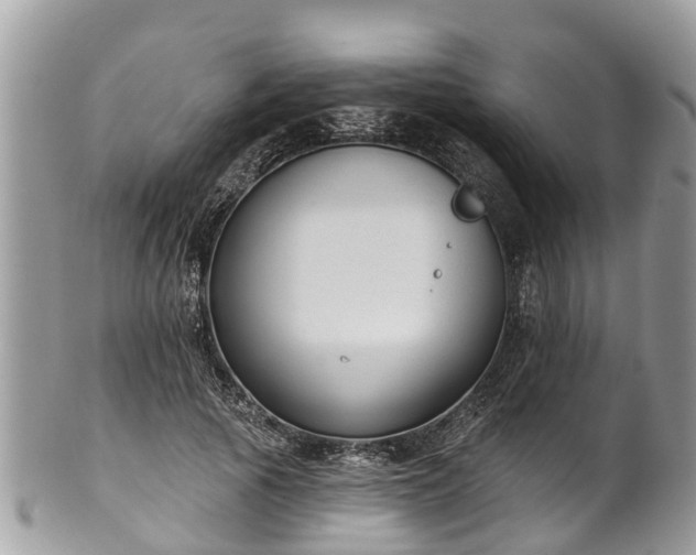 X0000102040737200807251414