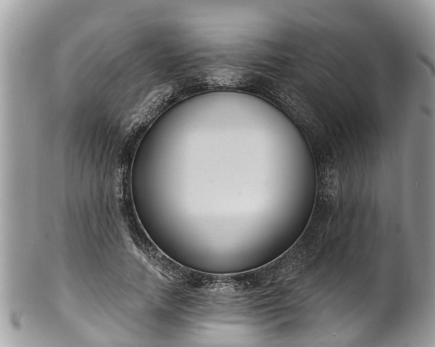 X0000102040738200807251414