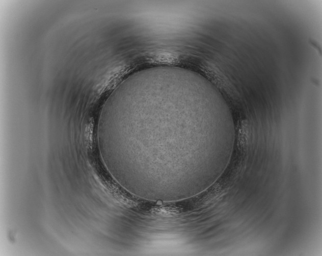 X0000102040739200807251414