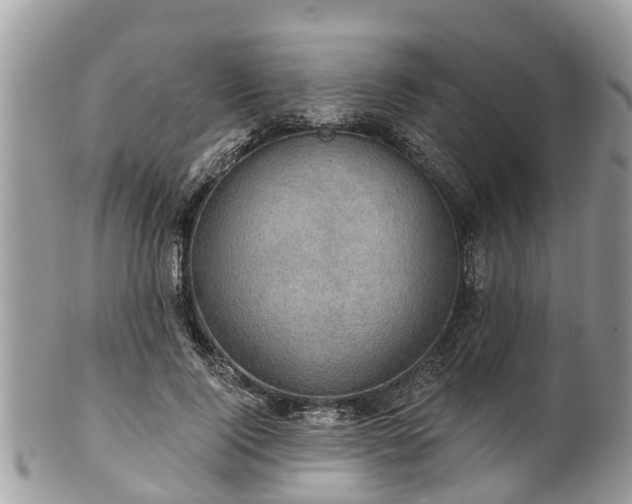 X0000102040740200807251414