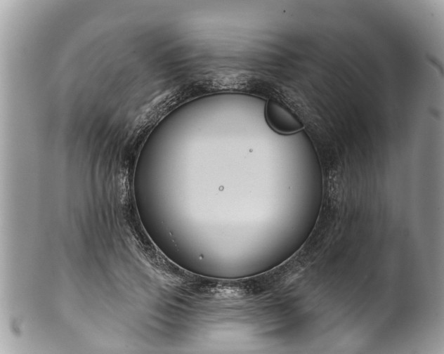 X0000102040741200807251414