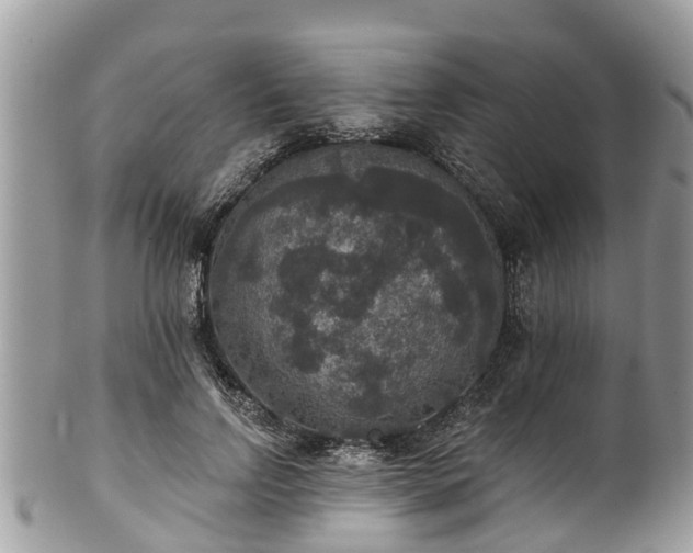 X0000102040742200807251414