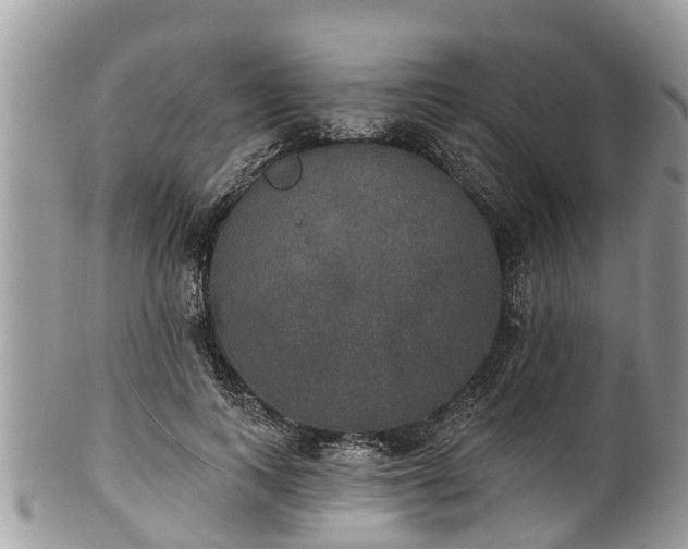 X0000102040743200807251414