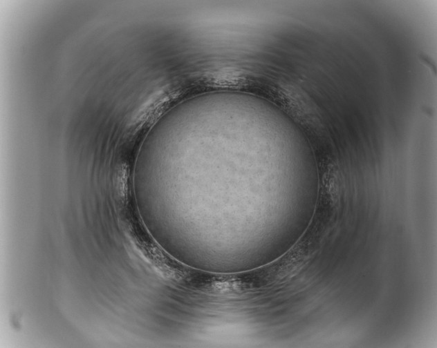 X0000102040744200807251414