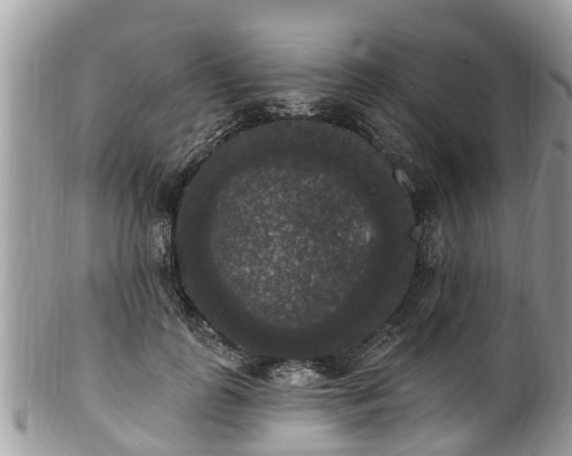 X0000102040747200807251414