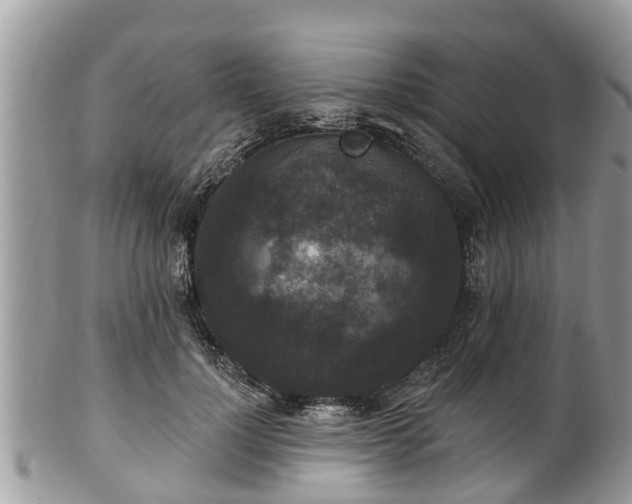 X0000102040748200807251414