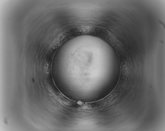 X0000102040750200807251414