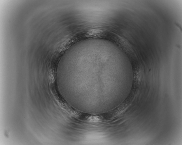 X0000102040751200807251414