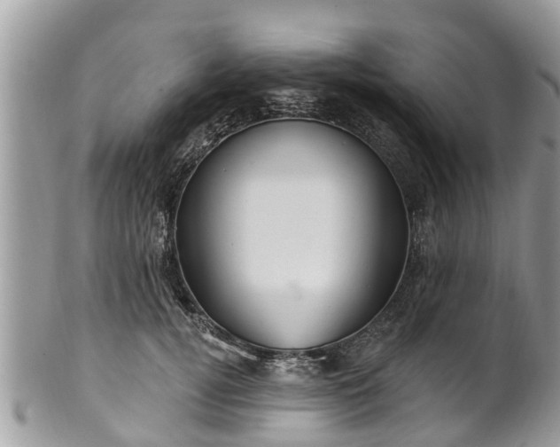 X0000102040752200807251414