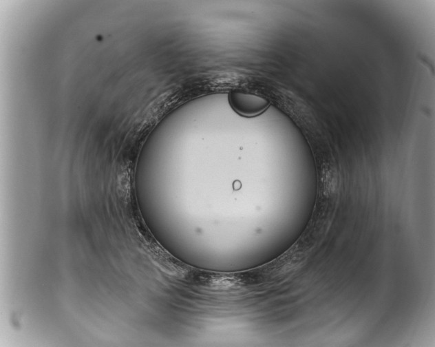 X0000102040753200807251414