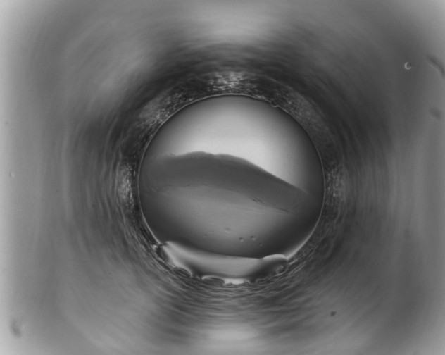 X0000102040754200807251414