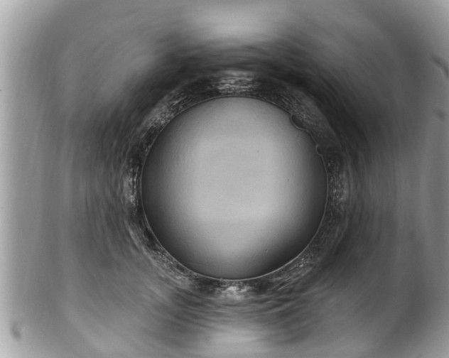 X0000102040755200807251414