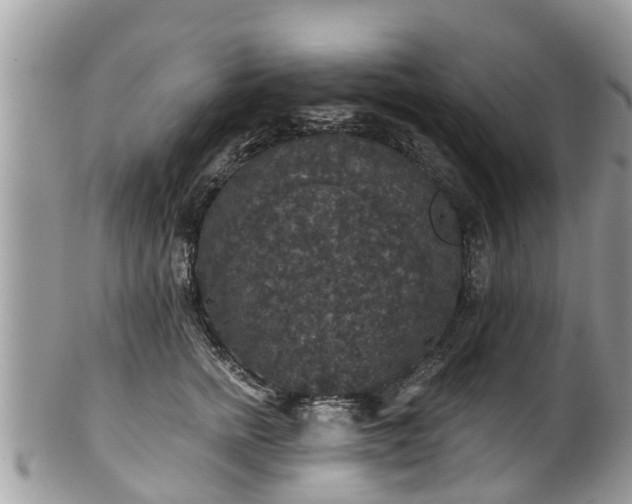 X0000102040758200807251414