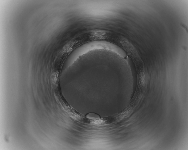 X0000102040759200807251414