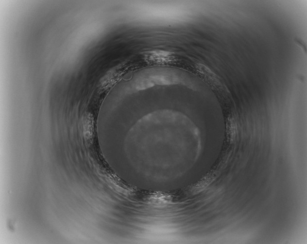 X0000102040760200807251414