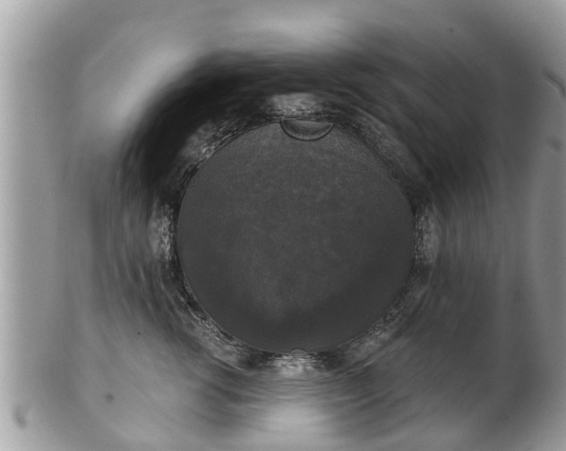 X0000102040762200807251414