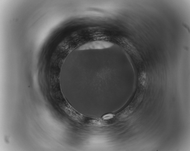 X0000102040763200807251414