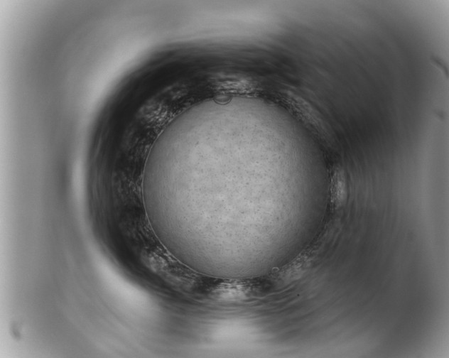 X0000102040764200807251414