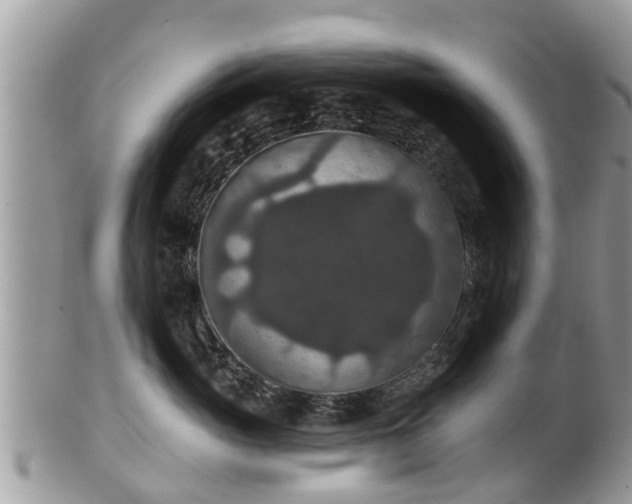 X0000102040765200807251414