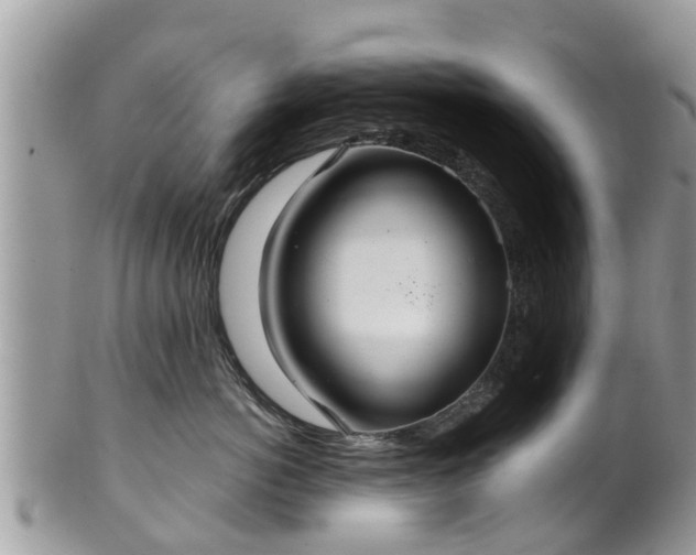 X0000102040766200807251414