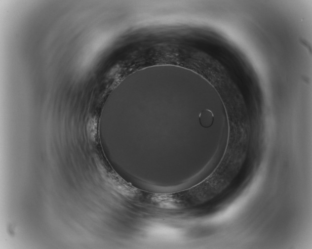 X0000102040767200807251414