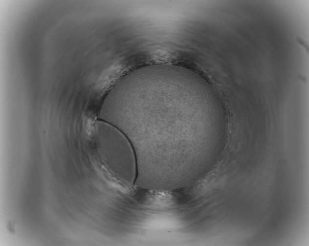 X0000102040768200807251414