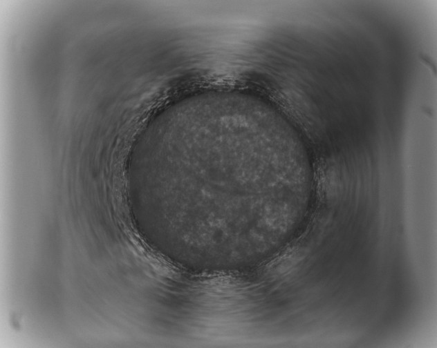 X0000102040769200807251413