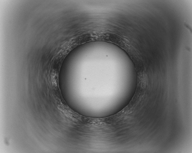 X0000102040770200807251413