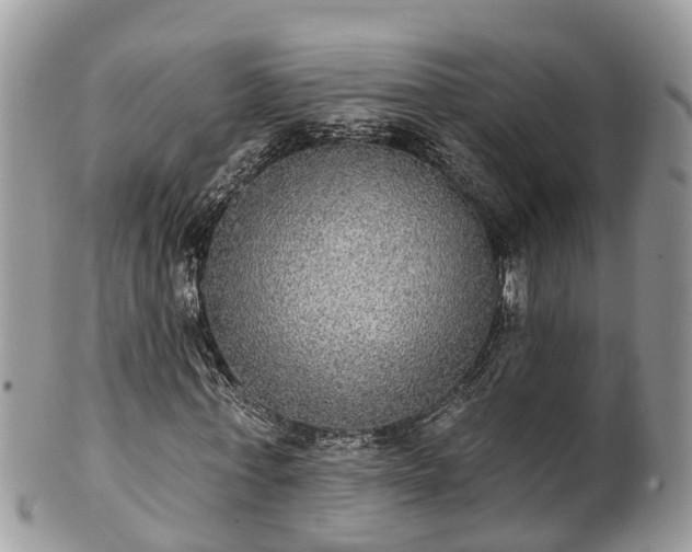 X0000102040771200807251413