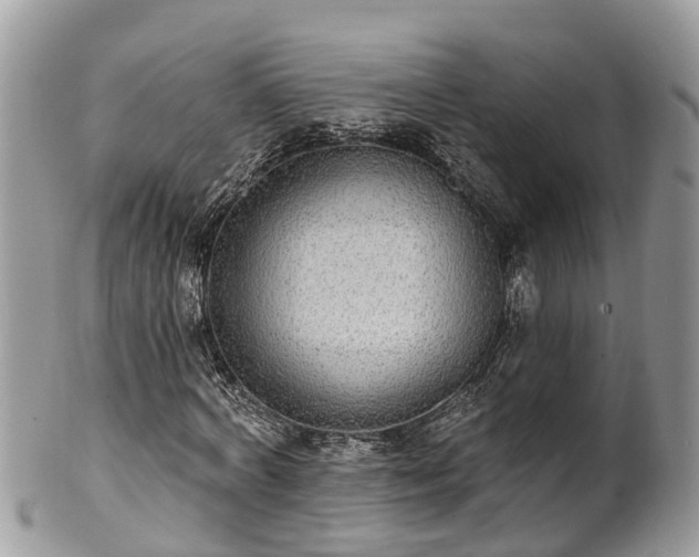 X0000102040772200807251413