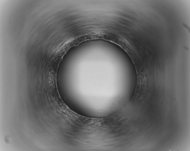 X0000102040773200807251413