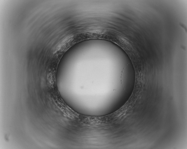 X0000102040774200807251413