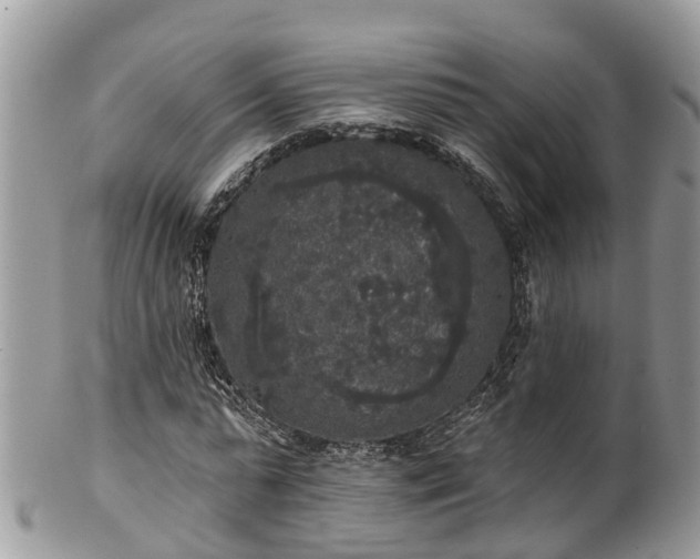 X0000102040775200807251413