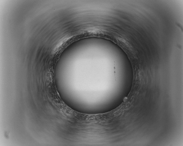 X0000102040776200807251413