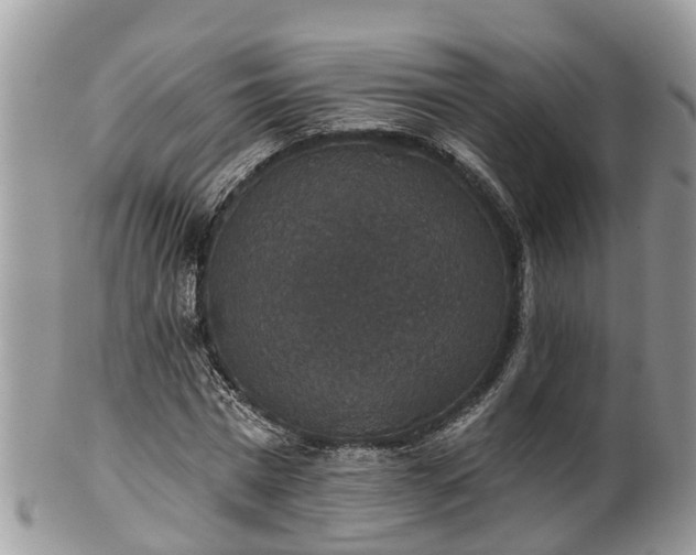 X0000102040777200807251413