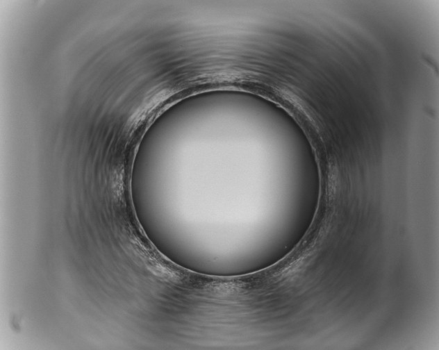 X0000102040778200807251413