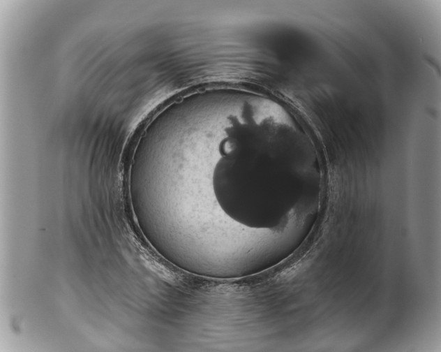 X0000102040779200807251413