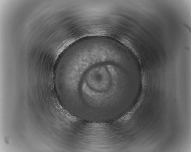 X0000102040781200807251413