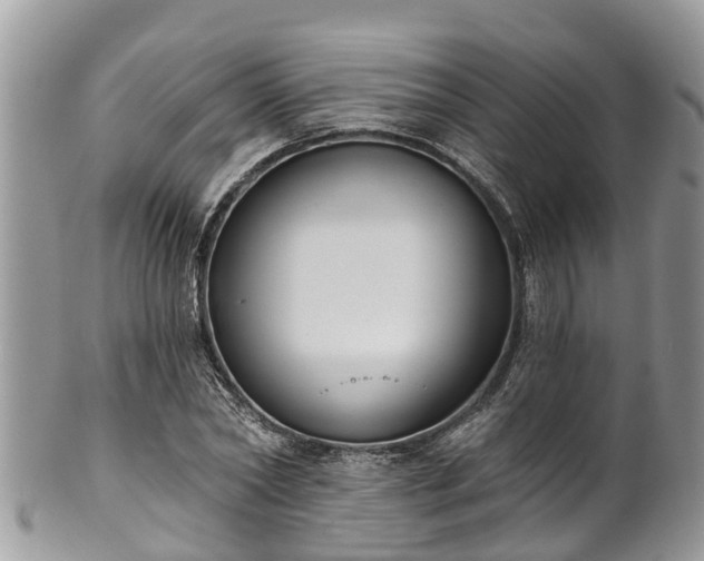 X0000102040782200807251413